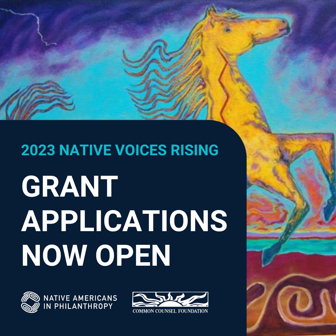 🎉 2023 Native Voices... - Native Americans in Philanthropy