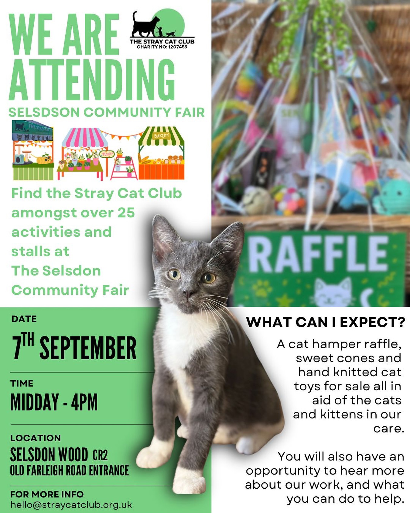 SELSDON COMMUNITY FAIR 💚 We’re... - The Stray Cat Club | Facebook