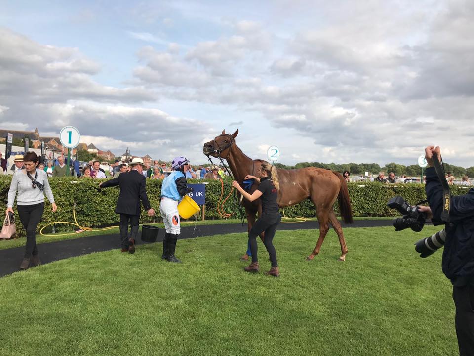 What a day! A across the card double... - Grace Harris Racing