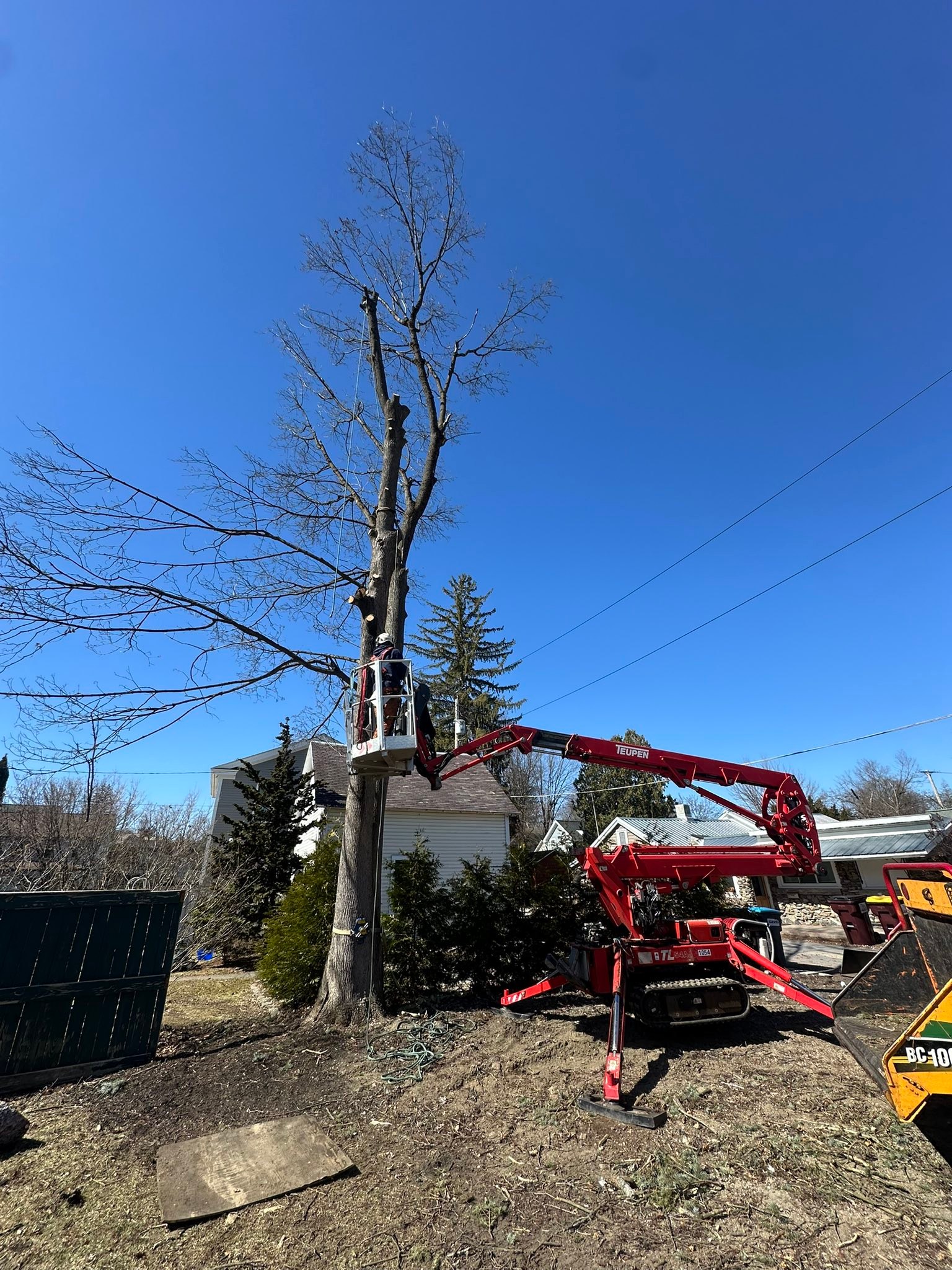 Ballston Tree & Property Services | Ballston Spa NY