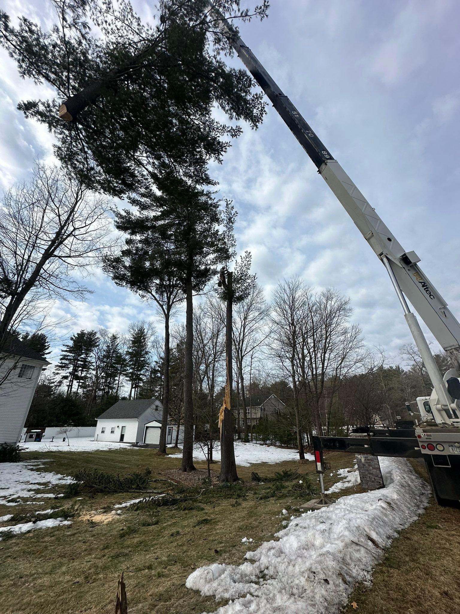 Ballston Tree & Property Services | Ballston Spa NY