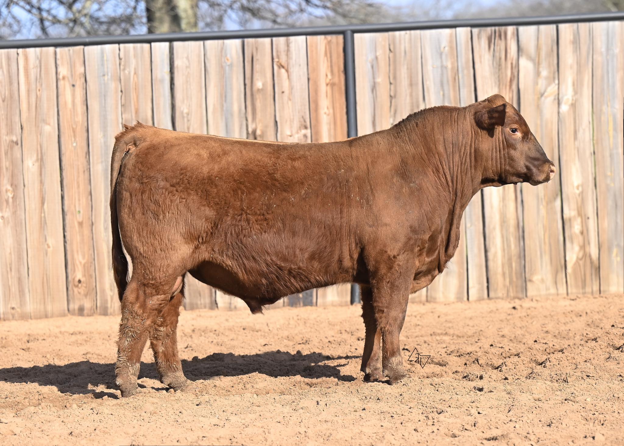Shankles 5S Ranch | Marietta OK