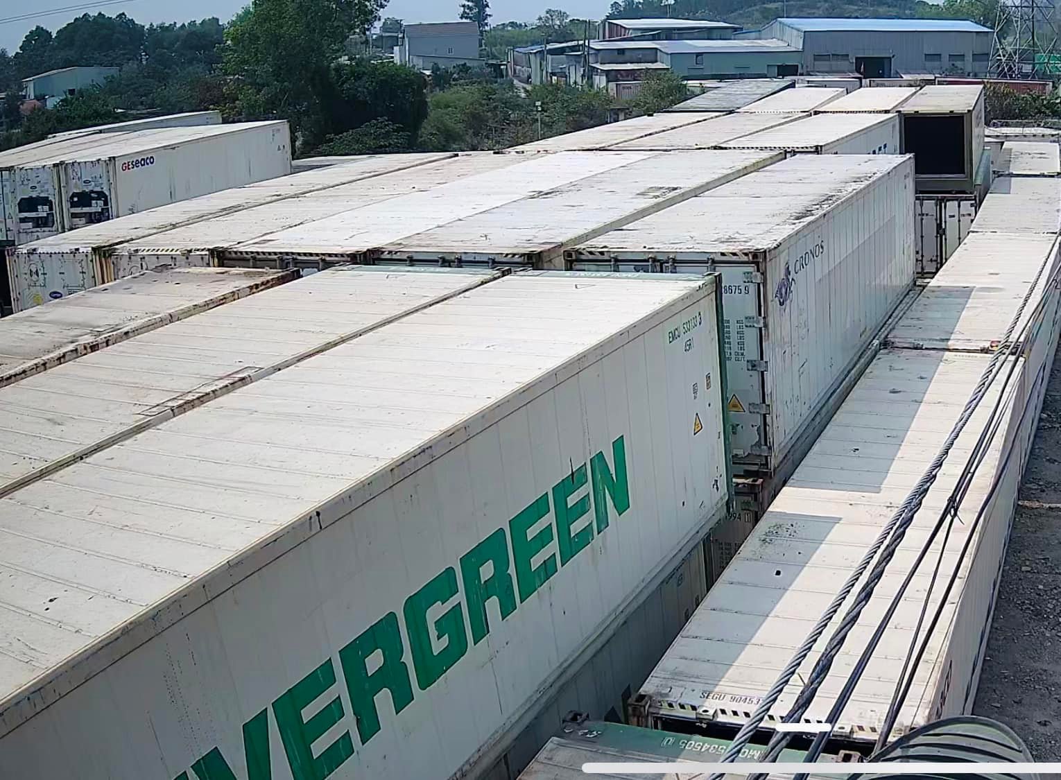 Rồng Đỏ Container