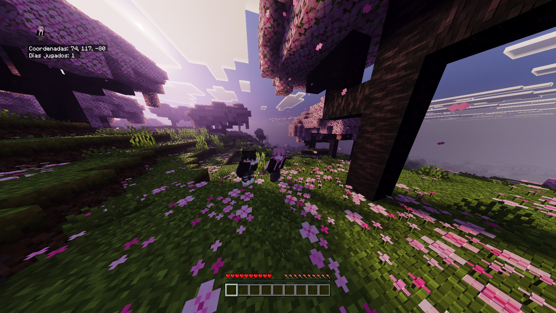 Minecraft Bedrock Latinoamérica | holiiis, este es mi realm y quiero ...