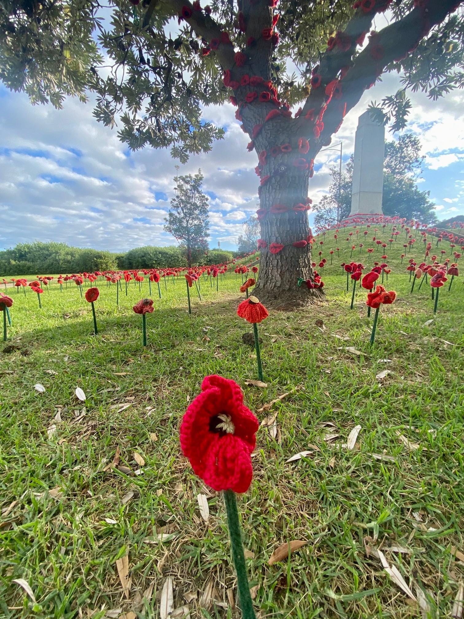 Lest we forget. The beautiful crocheted poppy installations at