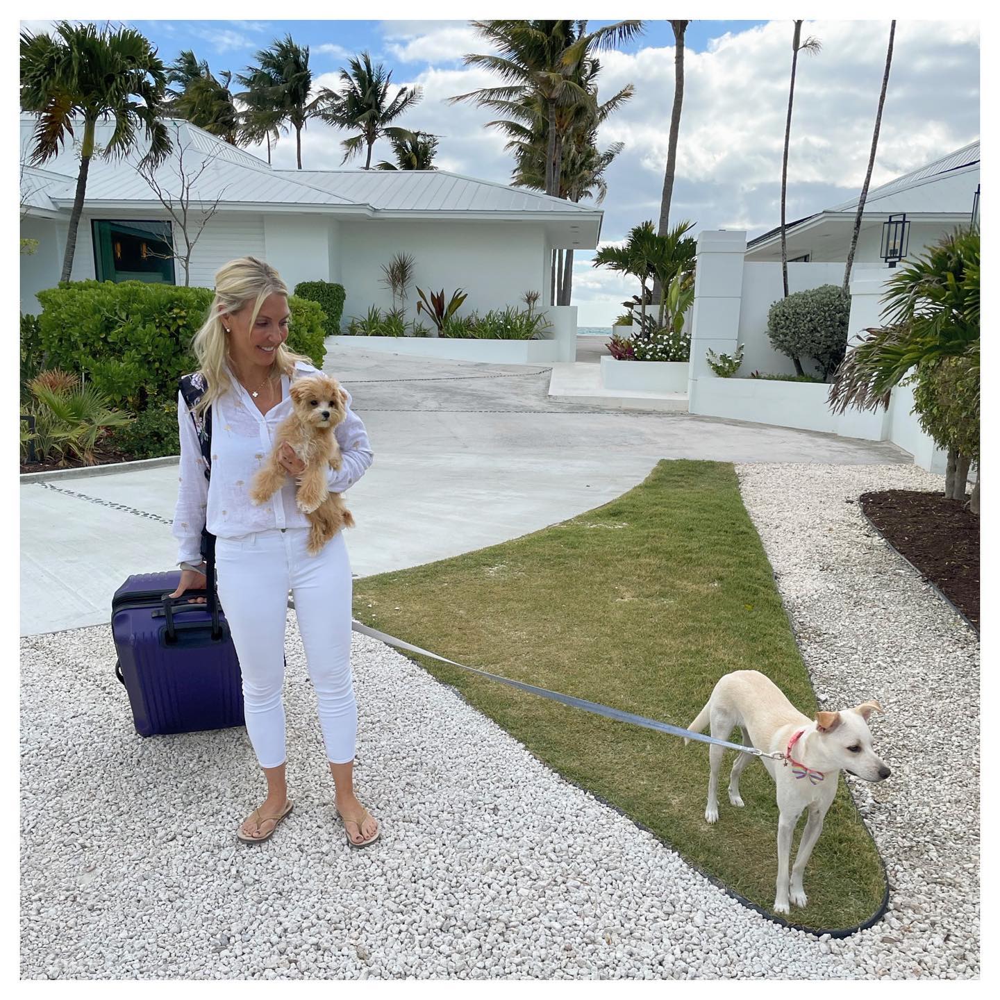 Sarah Baeumler - Happy #InternationalDogDay to the... | Facebook