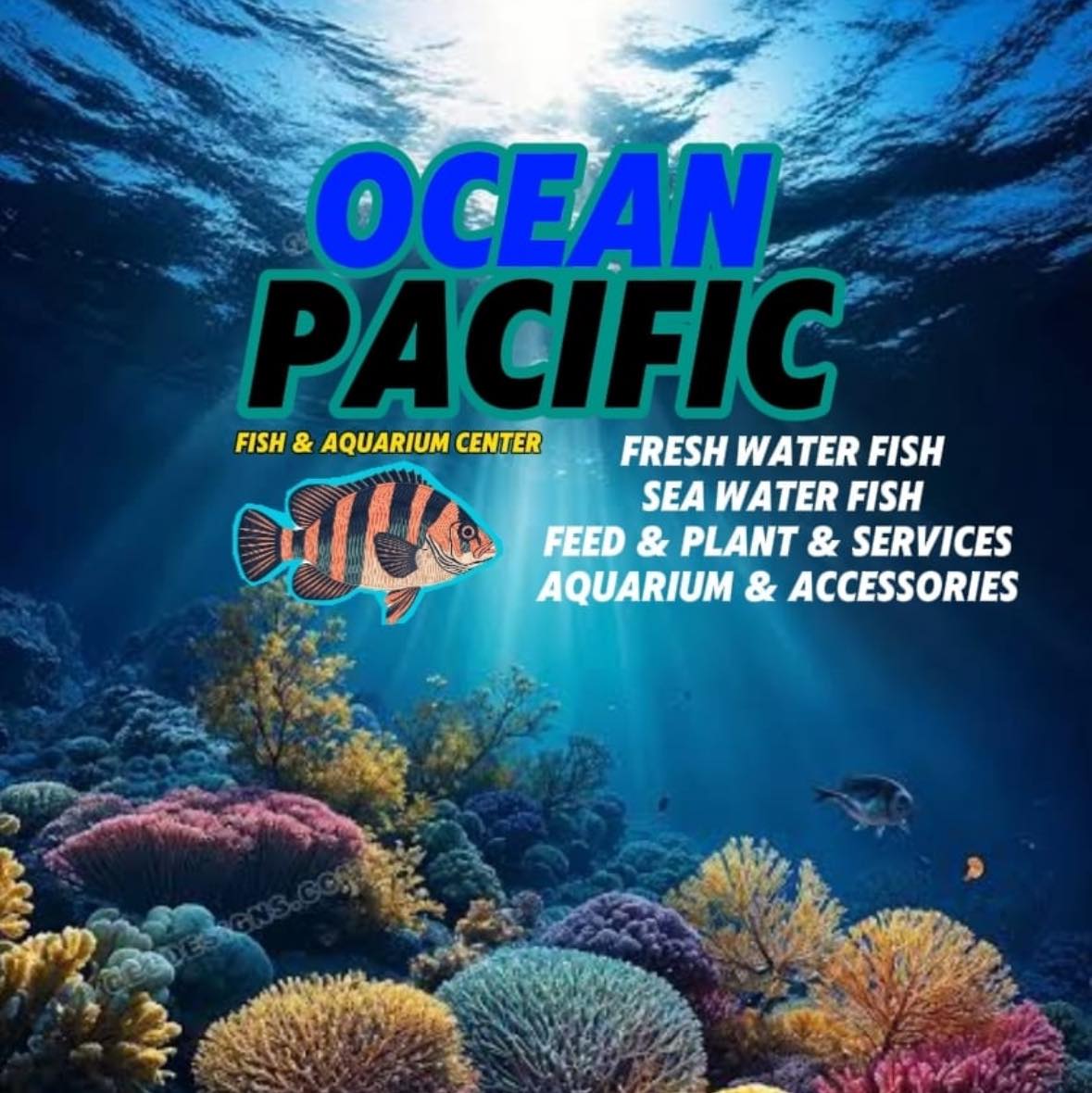 Ocean Pacific Lahore#aquariumfish#beautifulfish | Ocean Pacific ...