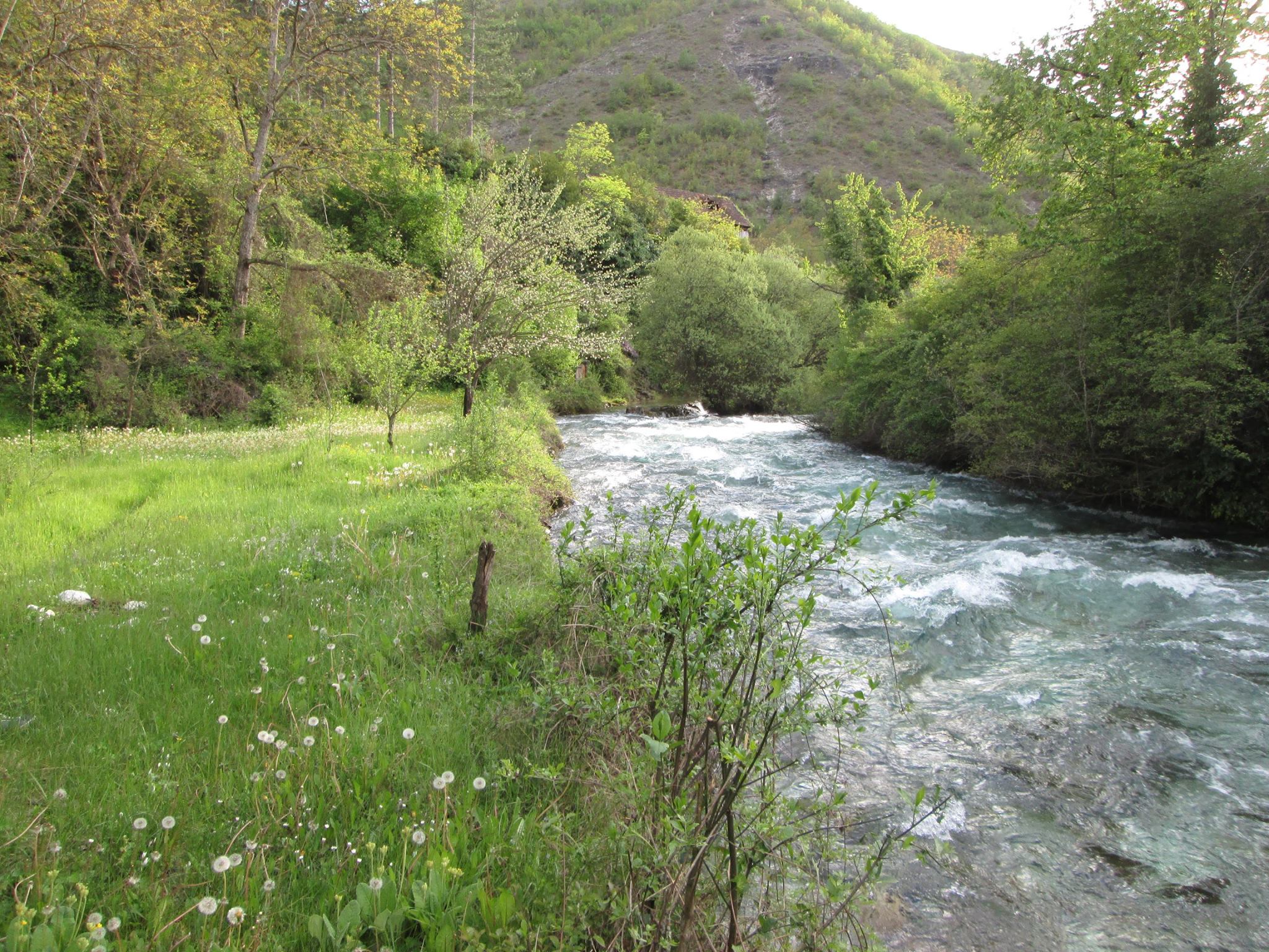 Беличка Река