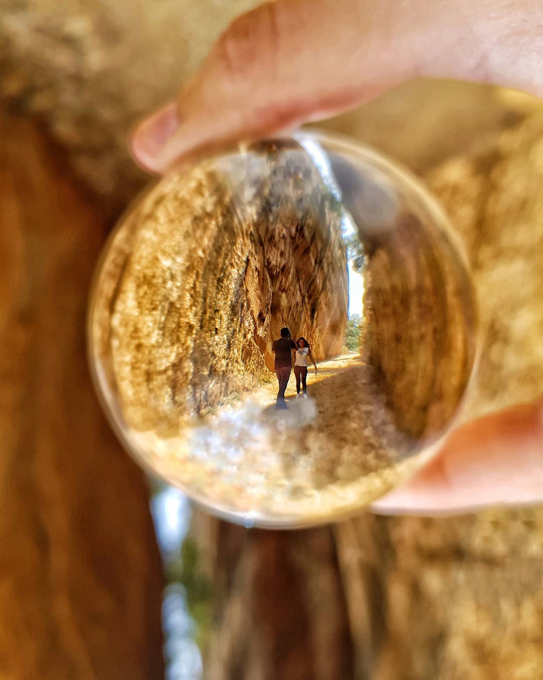 WanderBall