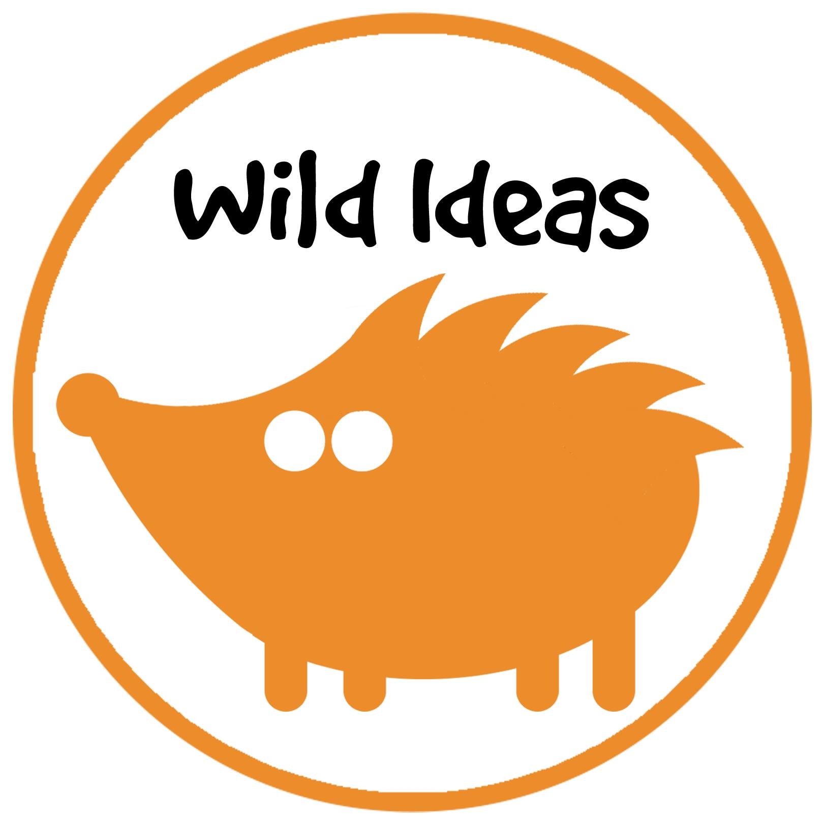 Wild Ideas - Our #SpeciesOftheWeek is the Pine Marten! Pine martens are ...