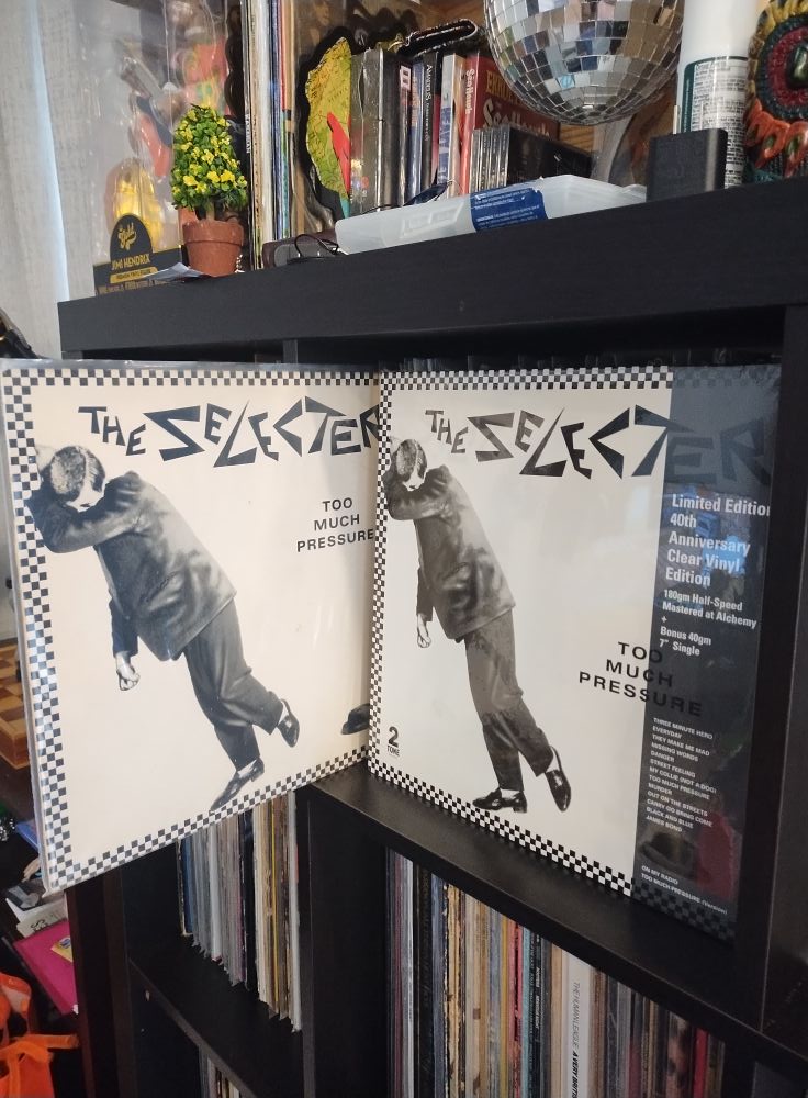 On the 23rd of February, 1980, Too Much Pressure by The Selecter