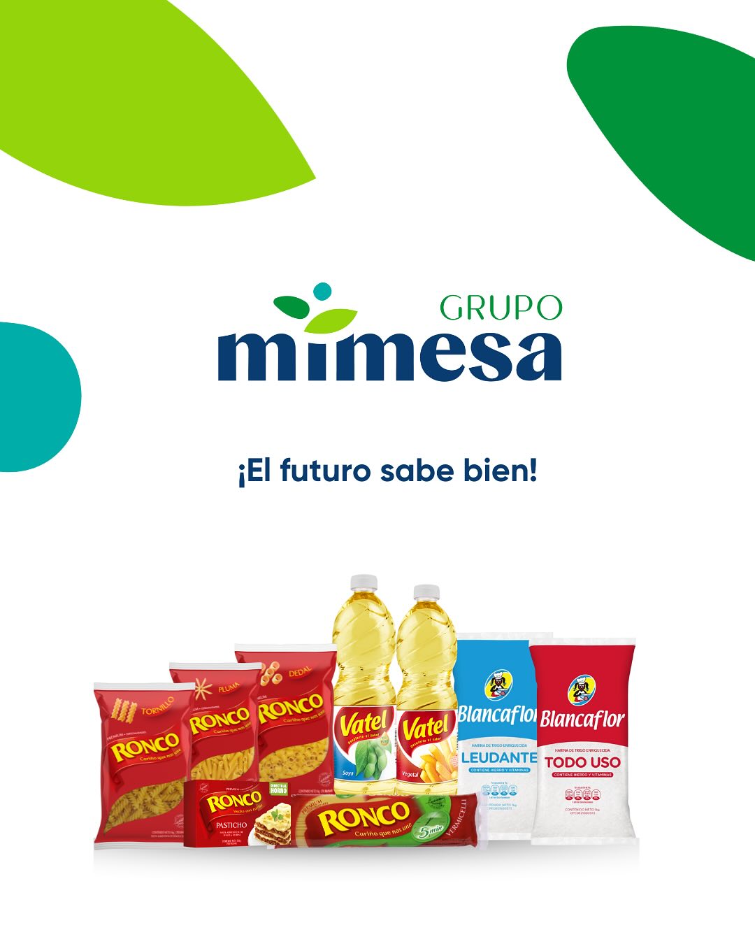 Grupo Mimesa