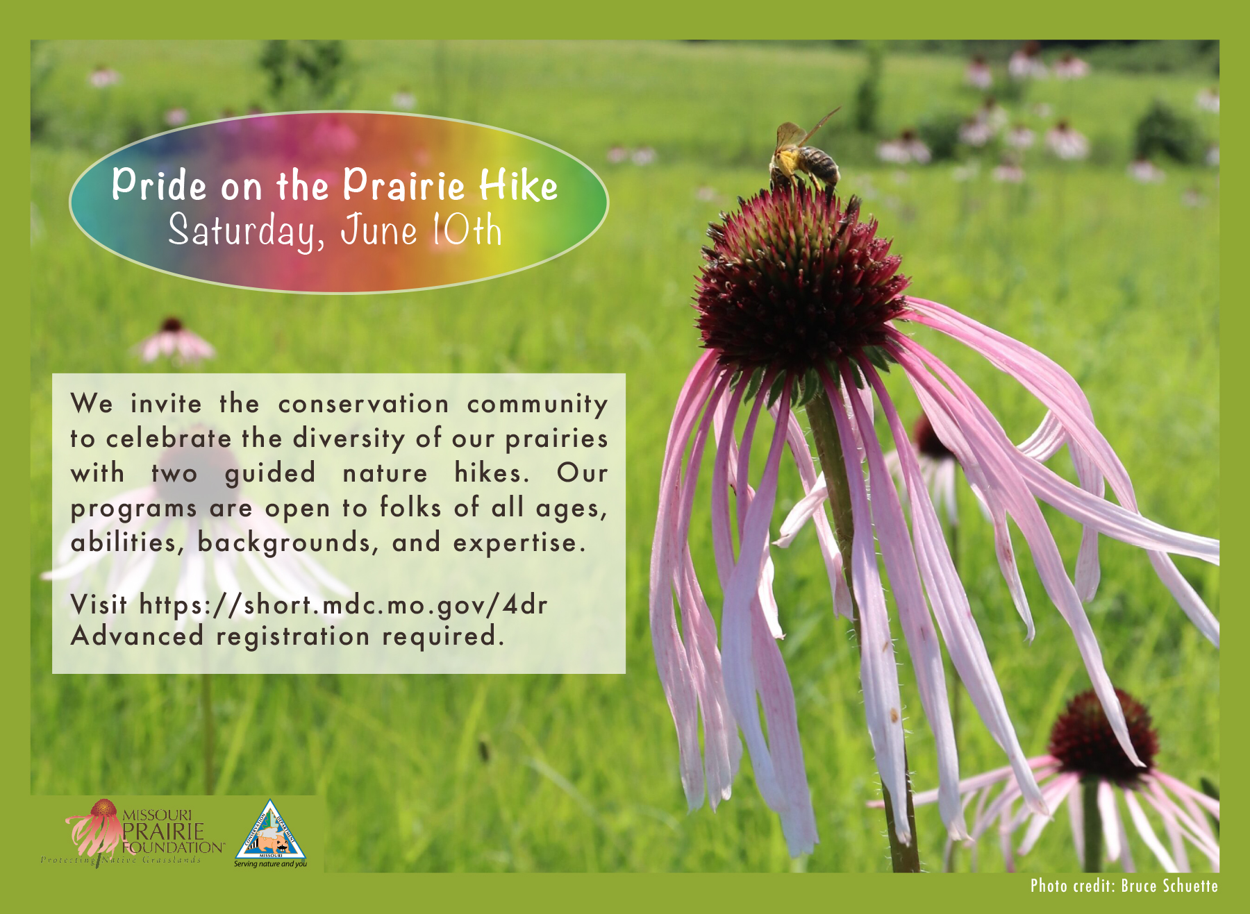 Deep Roots KC - Take a field trip to celebrate #pridemonth...