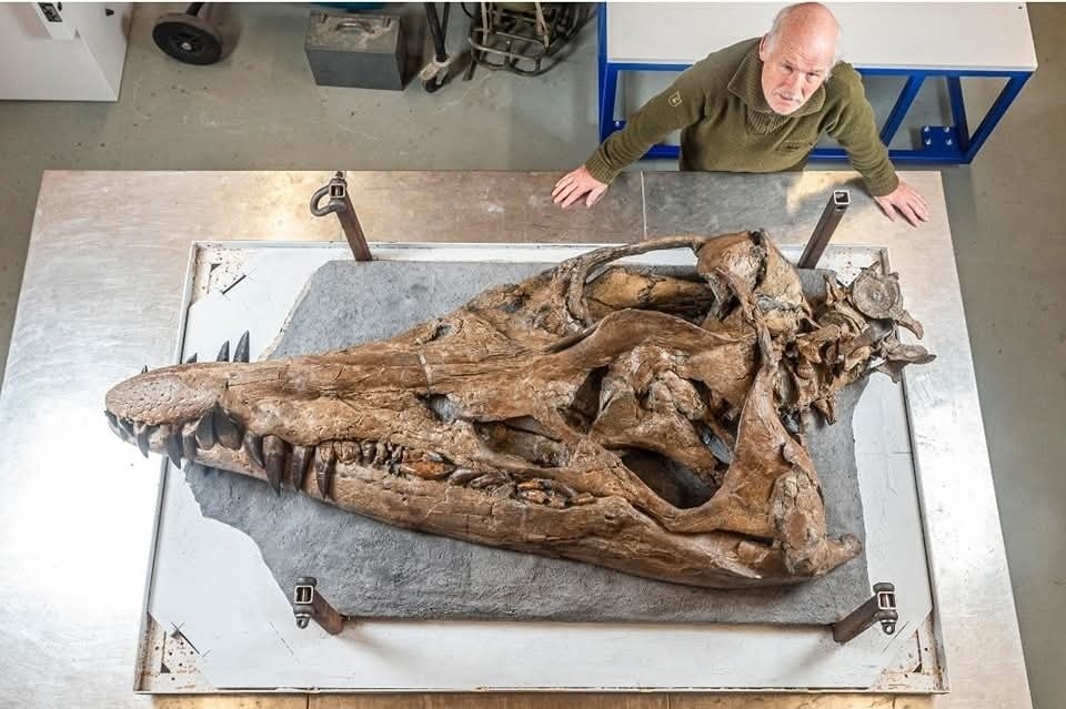 Biblical - HUGE SEA MONSTER SKULL DISCOVERY This massive skull ...