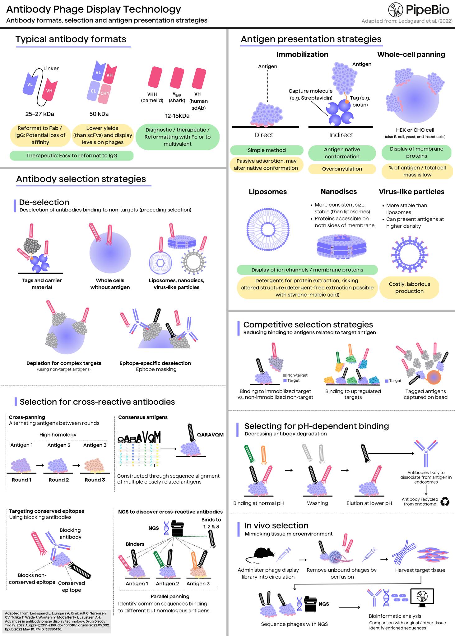 Pipebio - An overview of one of the hallmark in vitro... | Facebook