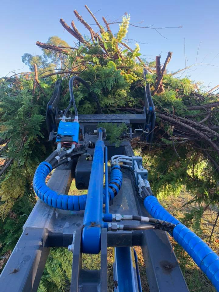Tree Assist