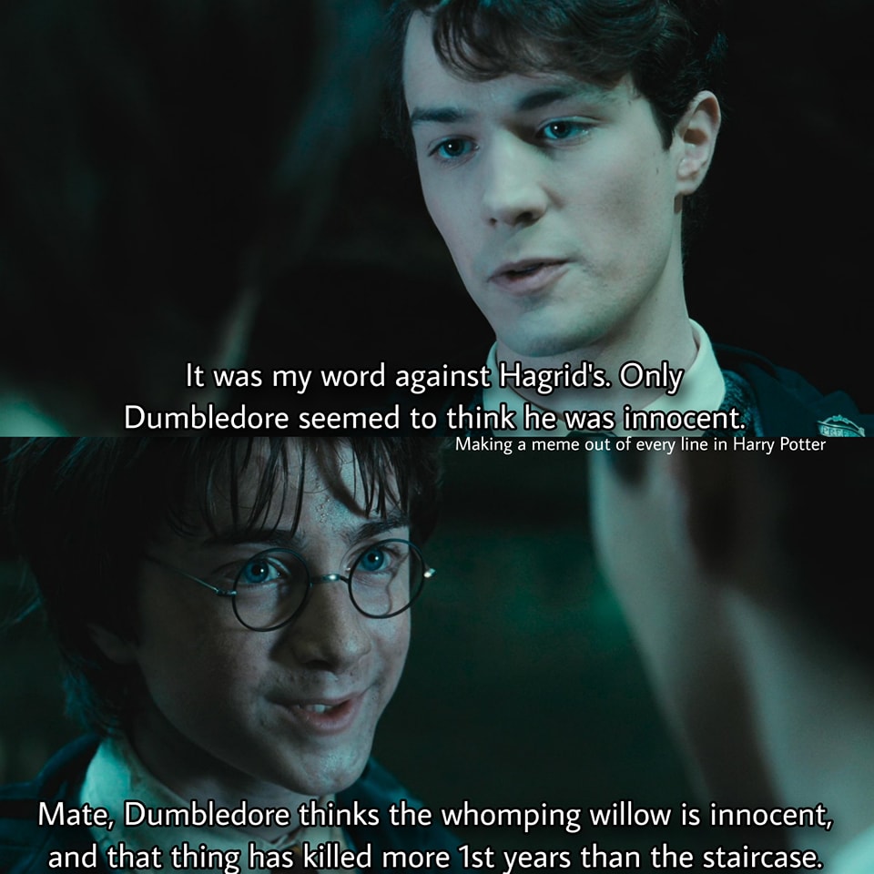 Making - Making a meme out of every line in Harry Potter and the ...