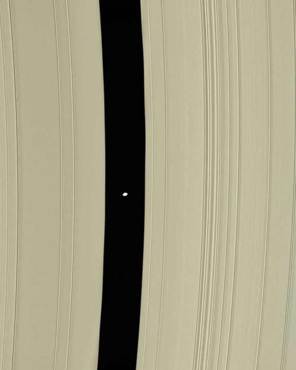 Astronomy - Ringworld Shepherd! This stunning image captures Pan, one ...