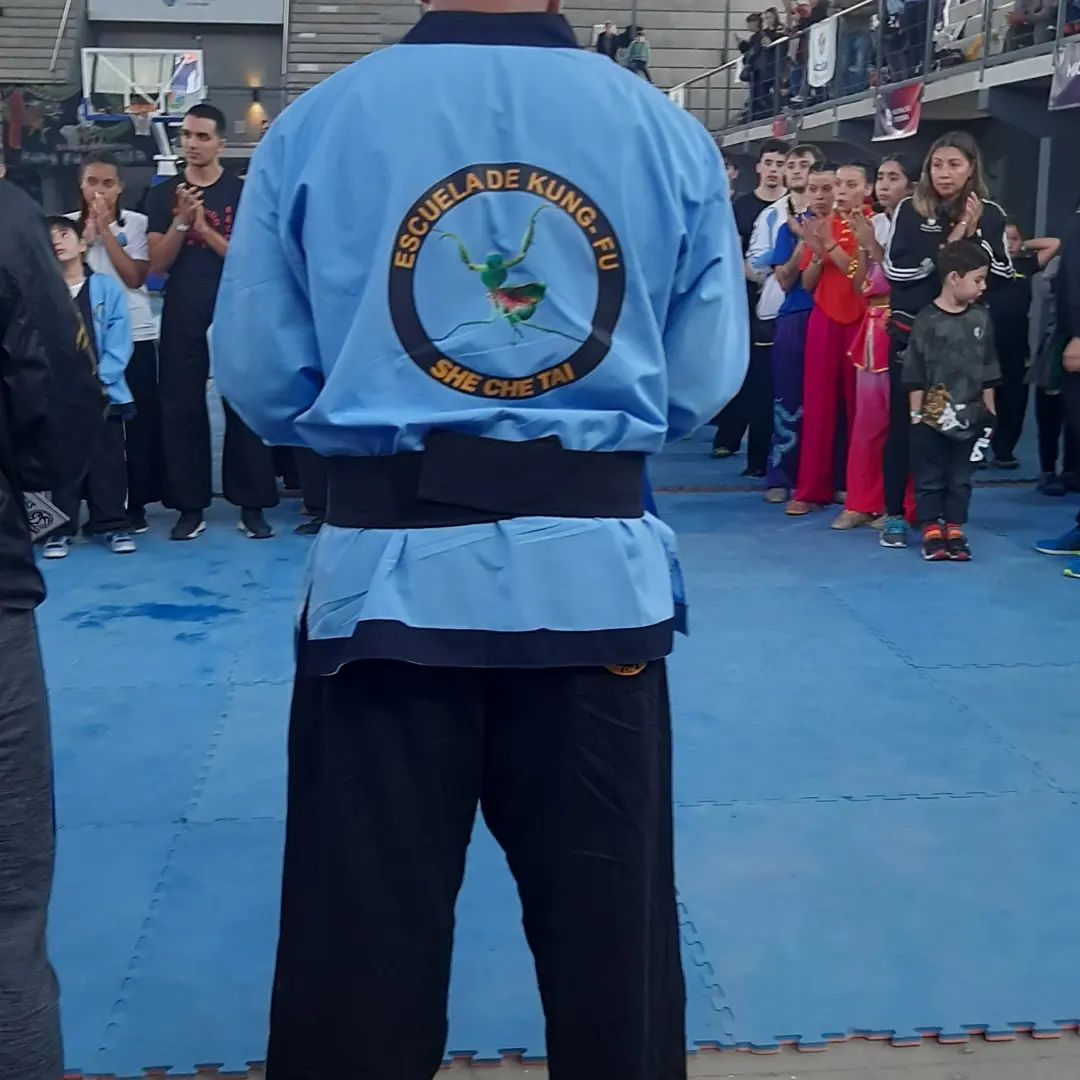 Escuela de Kung-fu She... - Escuela de Kung-fu She Che Tai