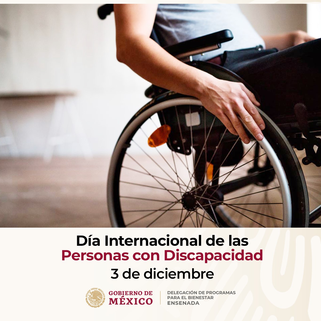 La discapacidad... - Gobierno de México Delegación Ensenada