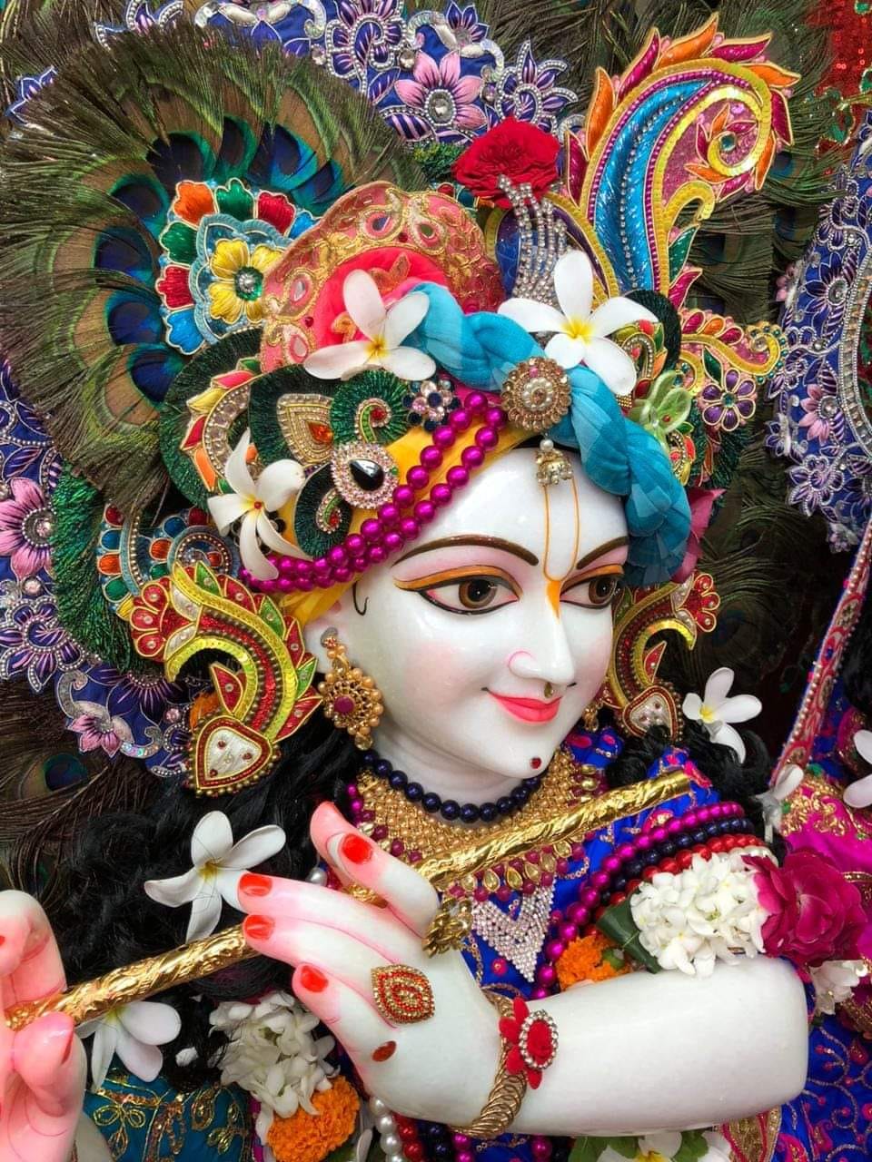 Sripad Bhaktivedanta Vishnu Maharaj