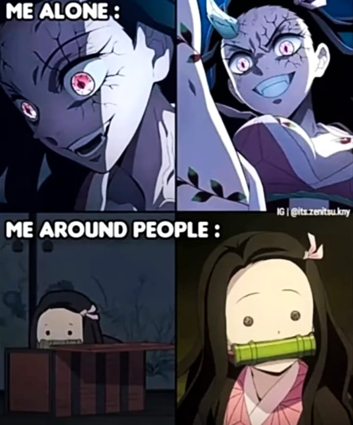 anime-lovers-the-duality-notmymeme-animememes