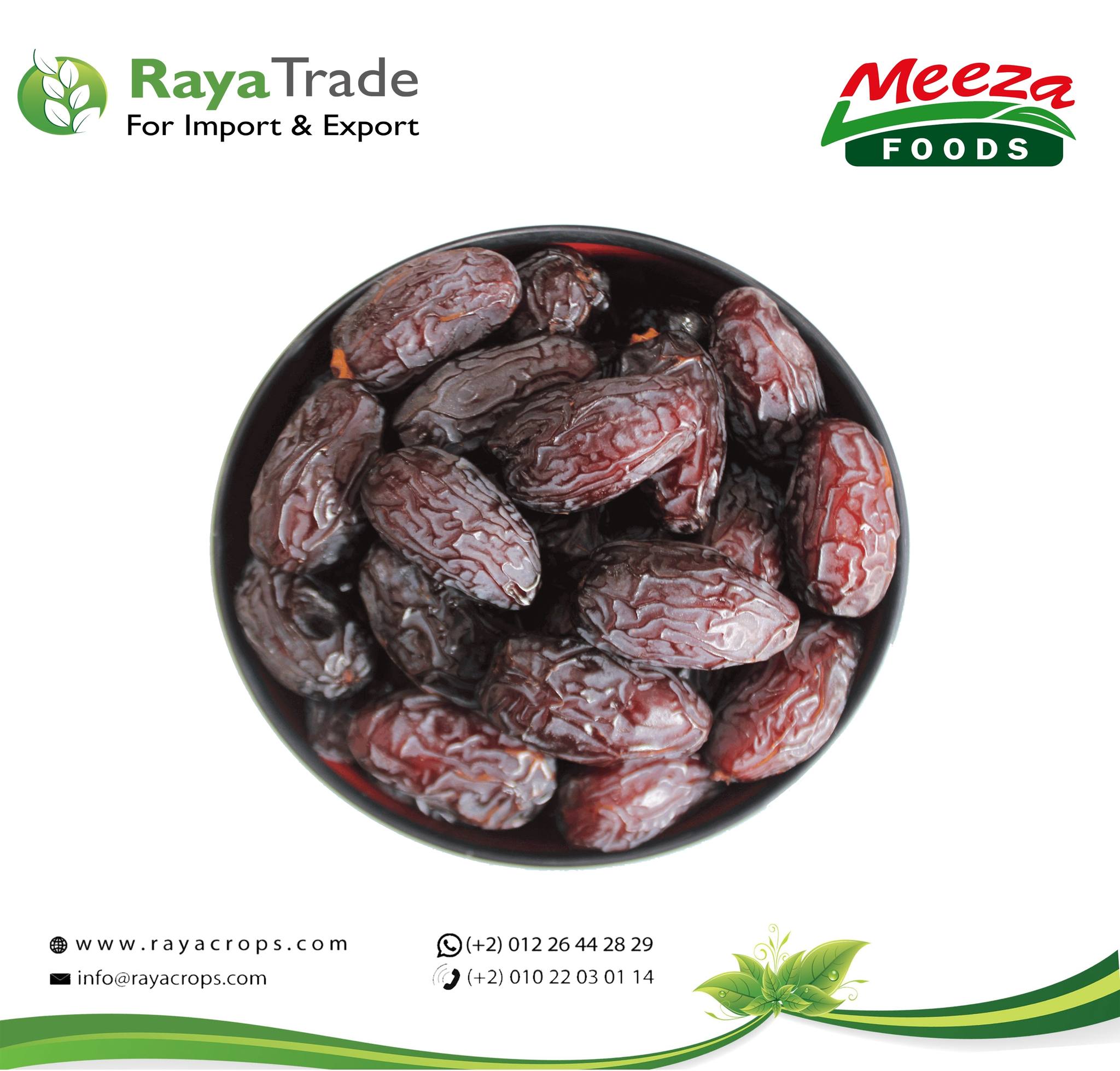 Our Medjool dates are... - Raya Trade for Import and Export | Facebook