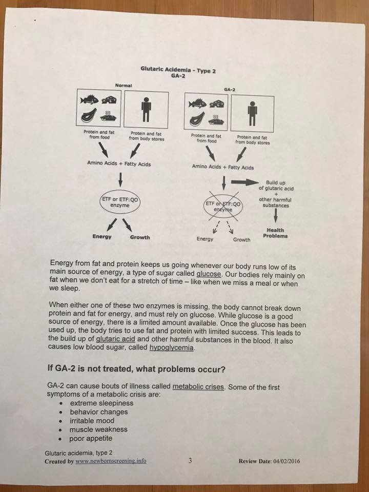 Finnley’s GA2 Journey - Glutaric Acidemia type ii