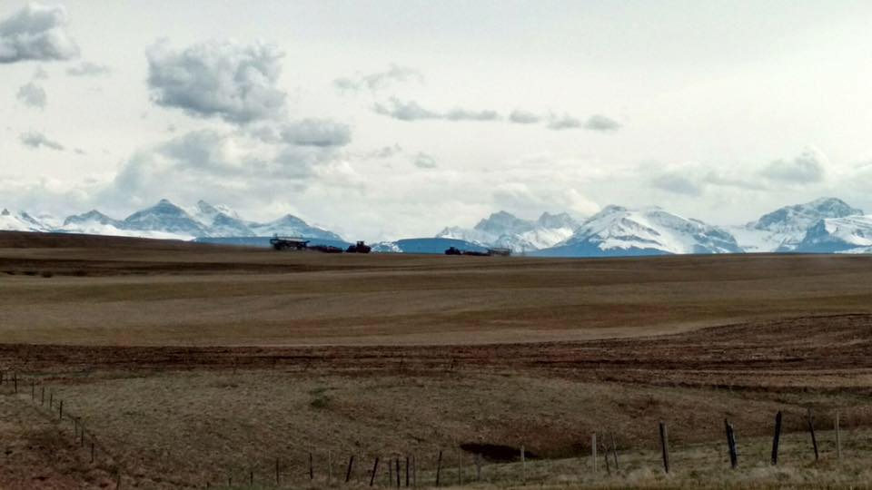 Lowe Ranches Inc. | Nanton AB
