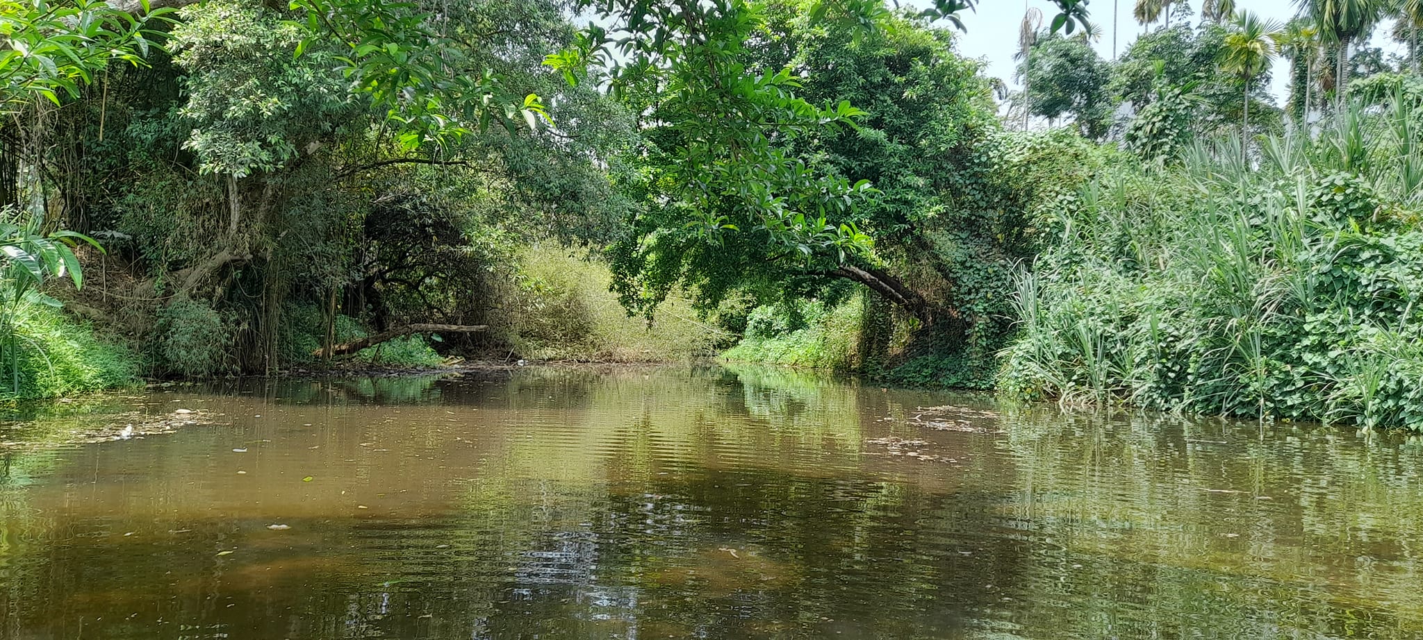 പൂനൂർ പുഴ Poonoor River