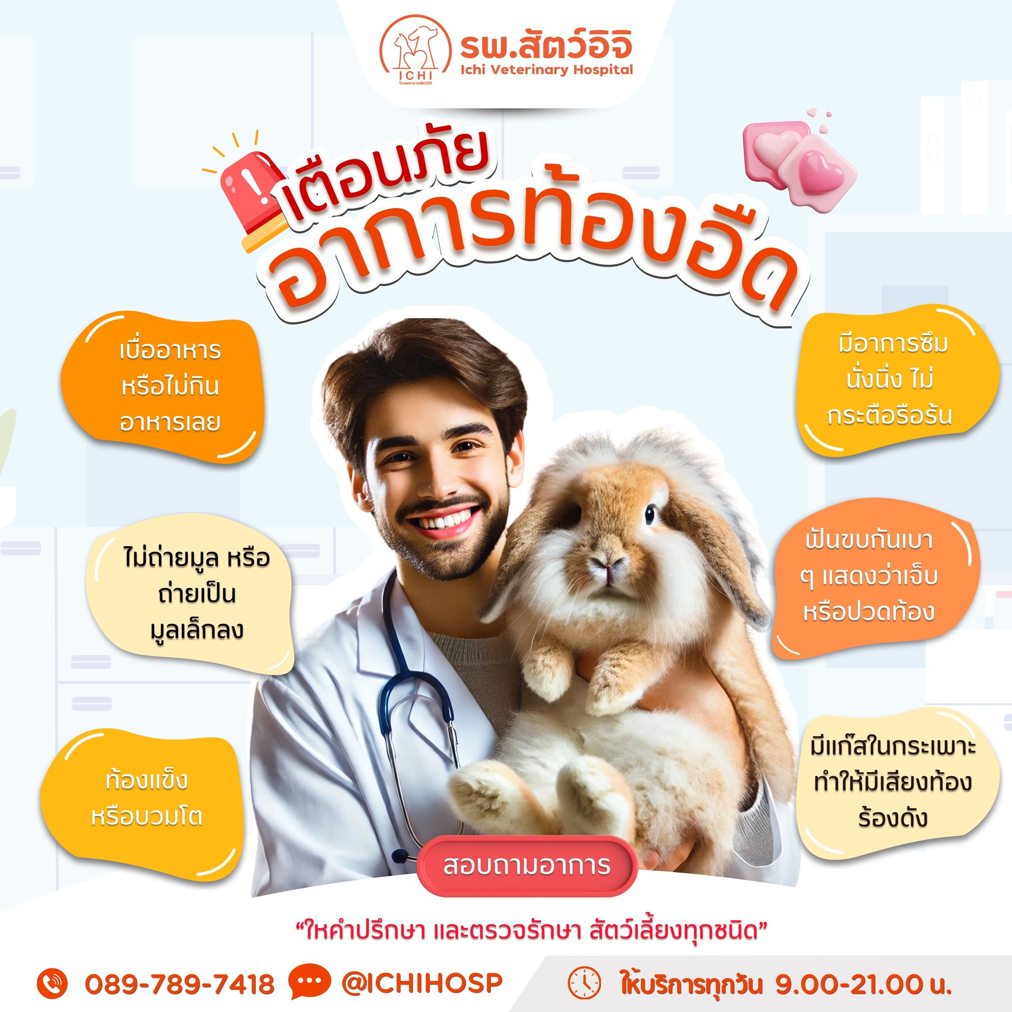 Image showcasing โรงพยาบาลสัตว์อิจิ - อาการท้องอืดในกระต่าย (Gastrointestinal Stasis ...