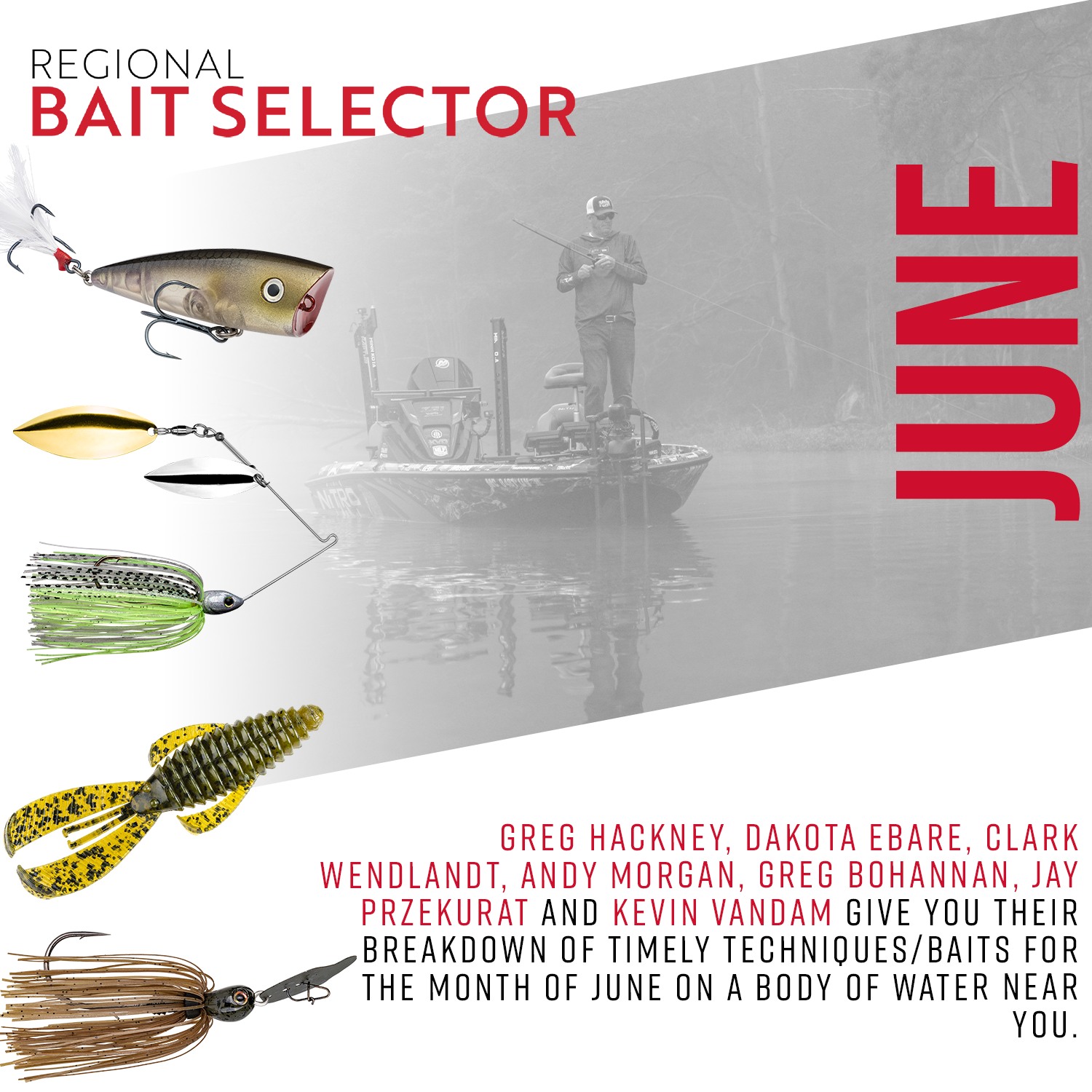 bass fishing lure selector PK - 2 Pack Great for Bass Bass Bait Selector Cheat Sheet