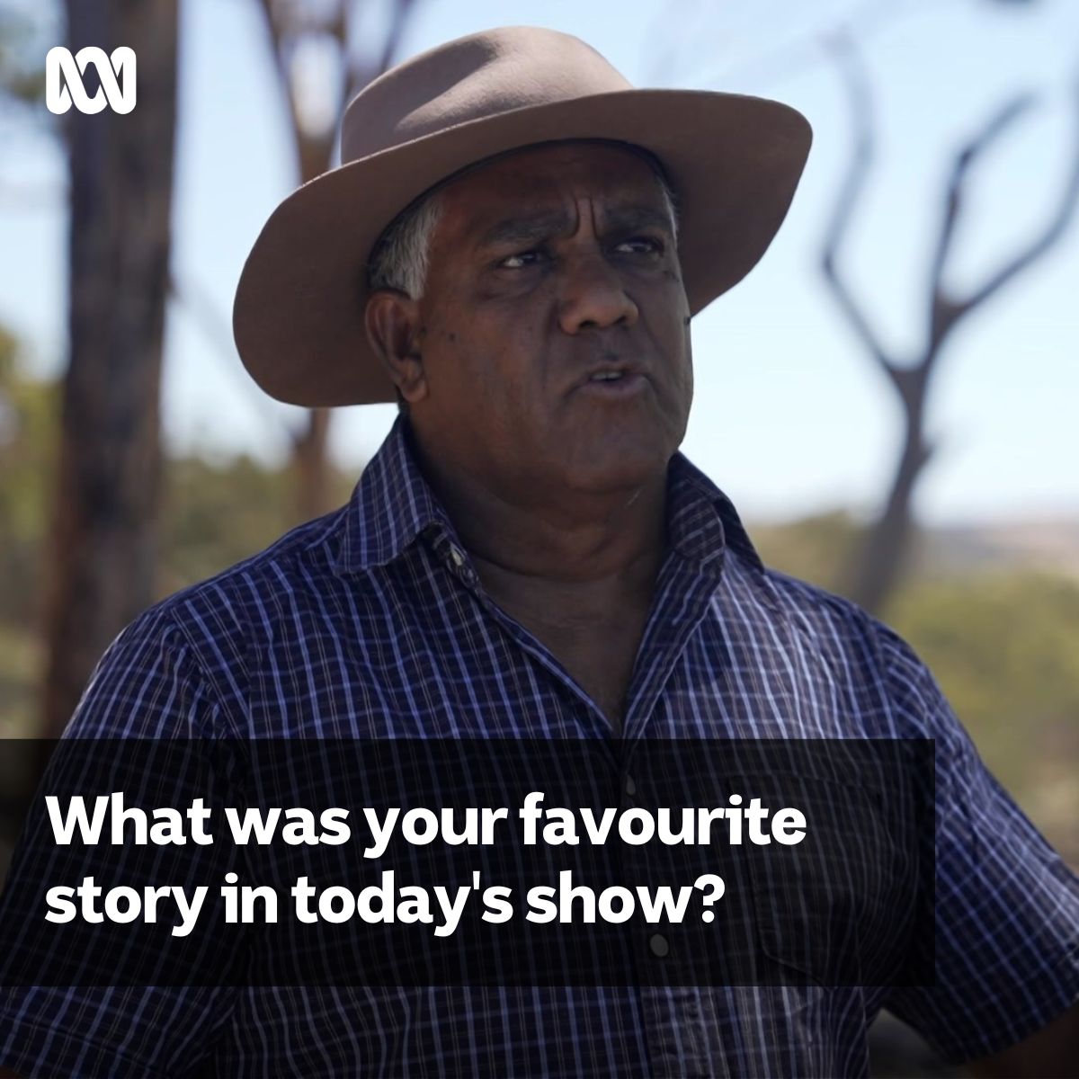 ABC Landline - What was your favourite story in today's show? 👇🏽🥰 🐂 ...