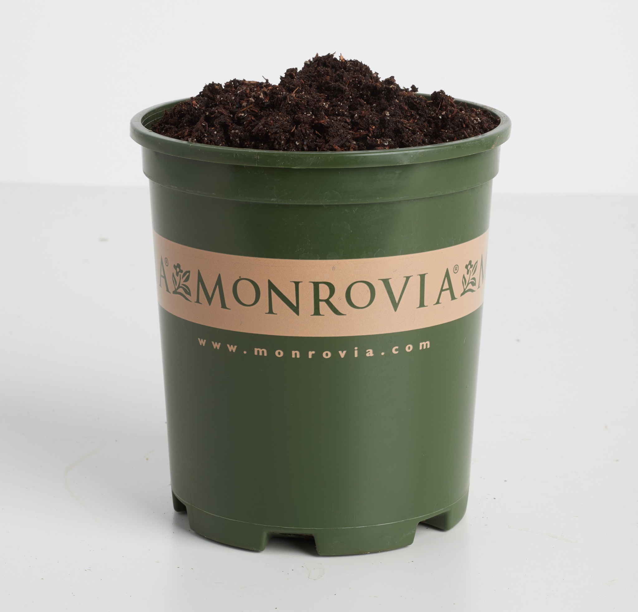 Mary - There's a lot happening inside Monrovia's green pots—and it all ...