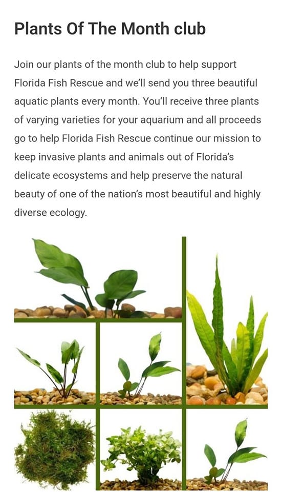 Florida Fish Rescue | Trenton FL