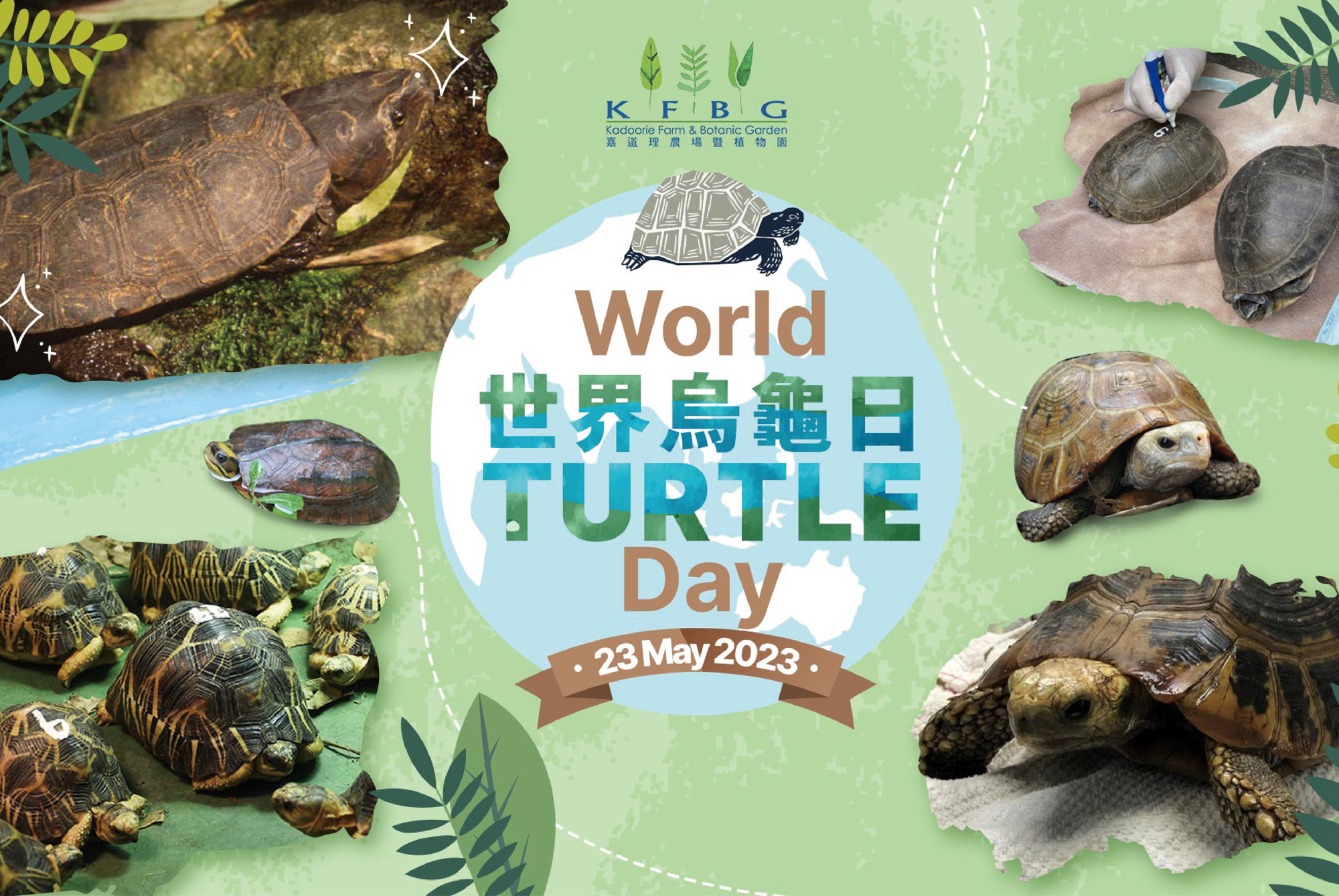 每年5月23日，世界各地都... - 嘉道理農場暨植物園 Kadoorie Farm and Botanic Garden