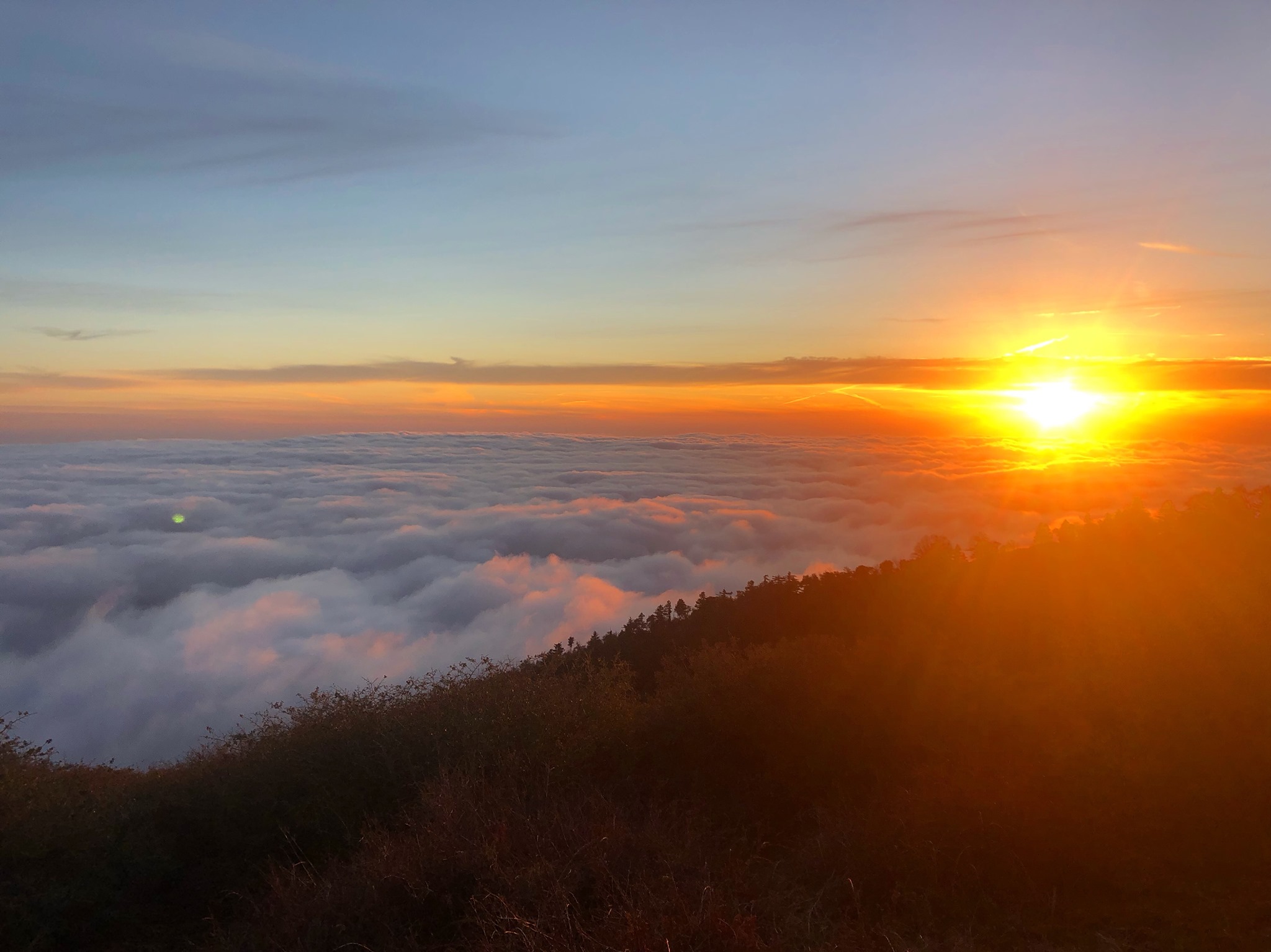 Friends of Palomar Mountain State Park | Palomar Mountain CA