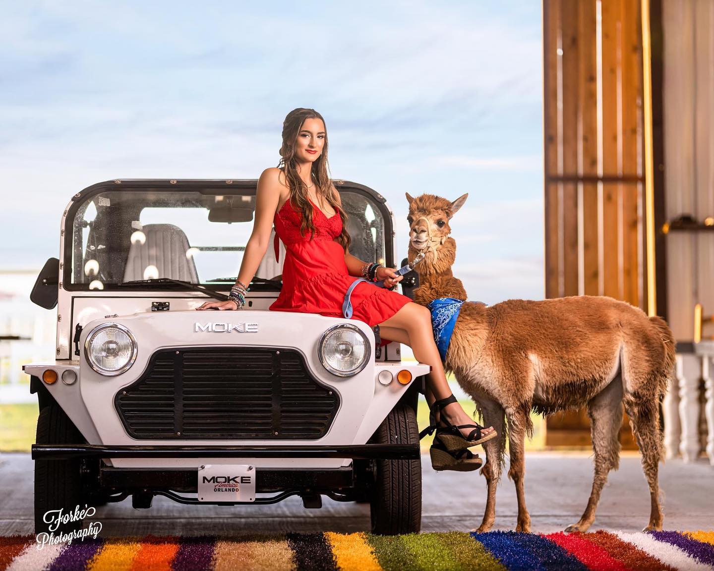 Alpaquita ranch - 📸 ️‍🔥🦙🚘 #AlpaquitaRanch | Facebook