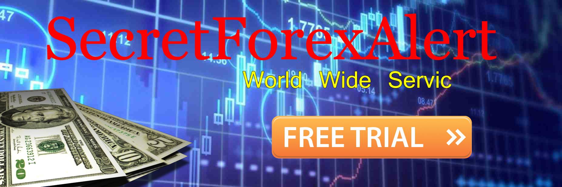 Secret Forex Wizard Alert | Bangkok