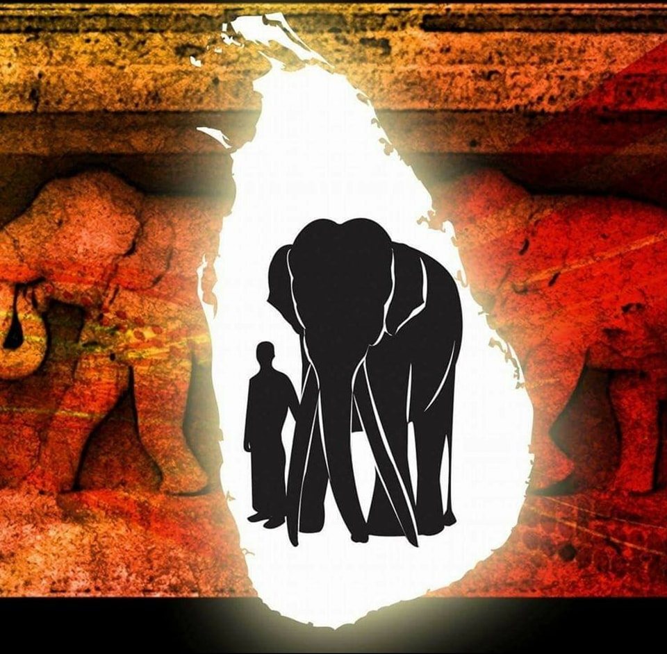 Voice - මියන් රාජා - Miyan Raja Voice For Elephants Sri Lanka Media # ...