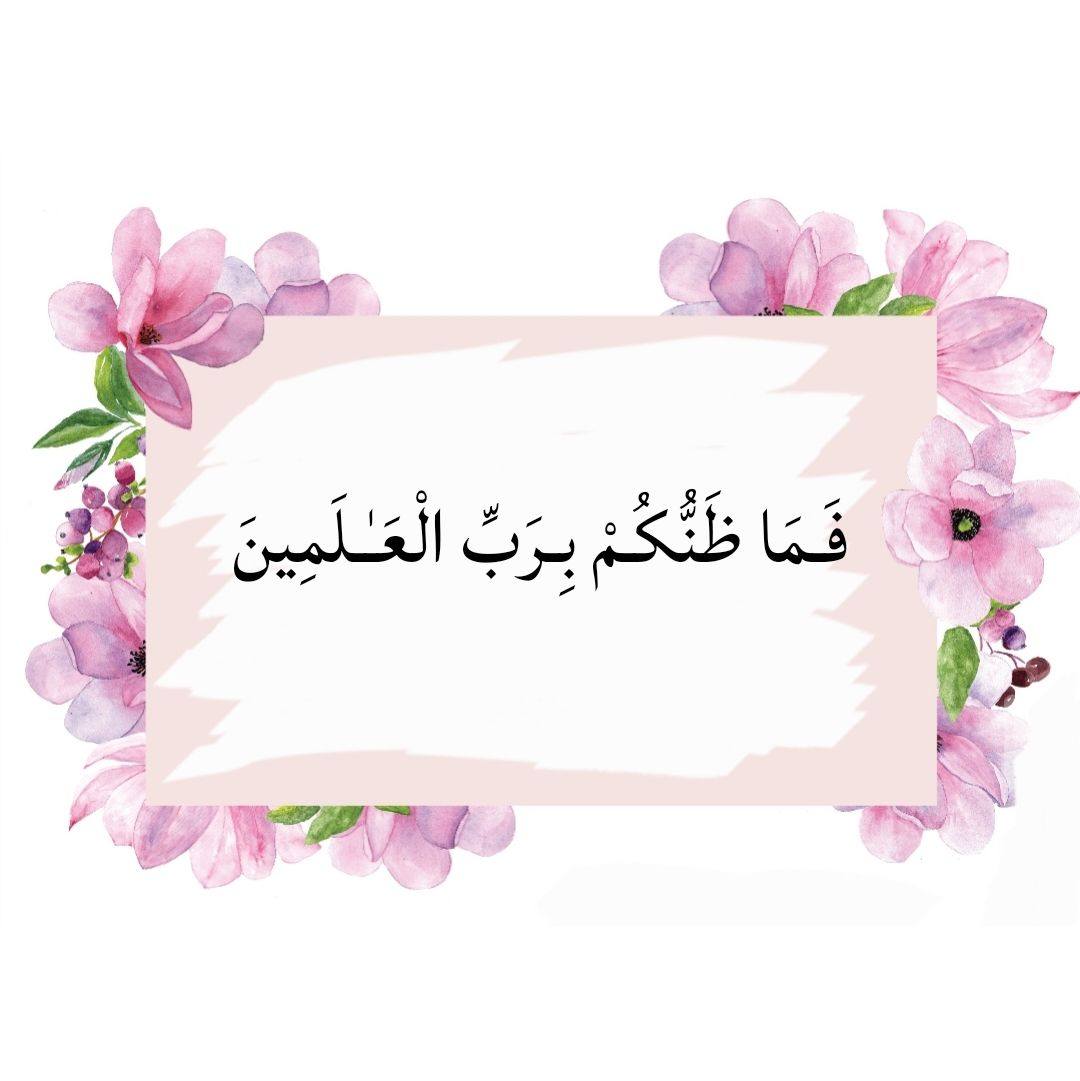 س / يا شيخ... - فَـمَا ظَنُّكُـمْ بِـرَبِّ الْعَـٰـلَمِينَ | Facebook