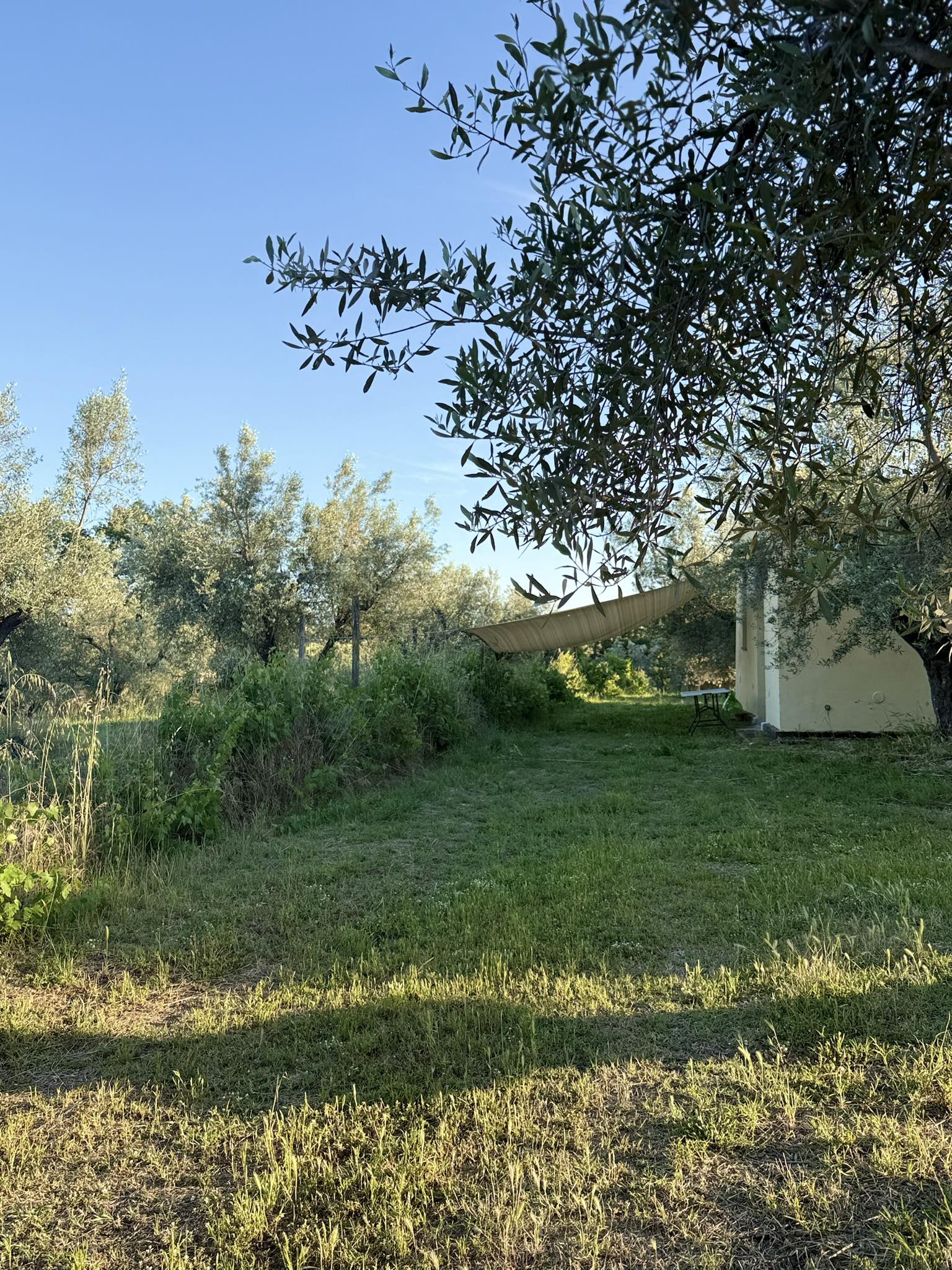 Stoviglioteca e Pannolinoteca di Mimì & Cocò - Oggi parliamo del primo ...