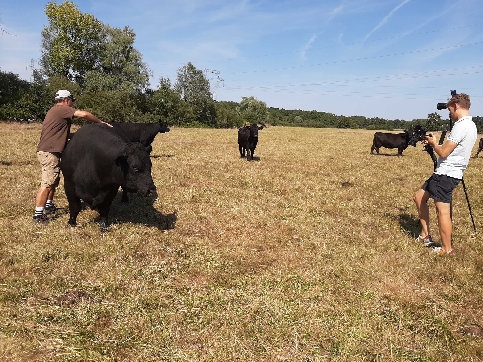 Ça tourne🎥 … et ça va... - Pour une Agriculture du Vivant