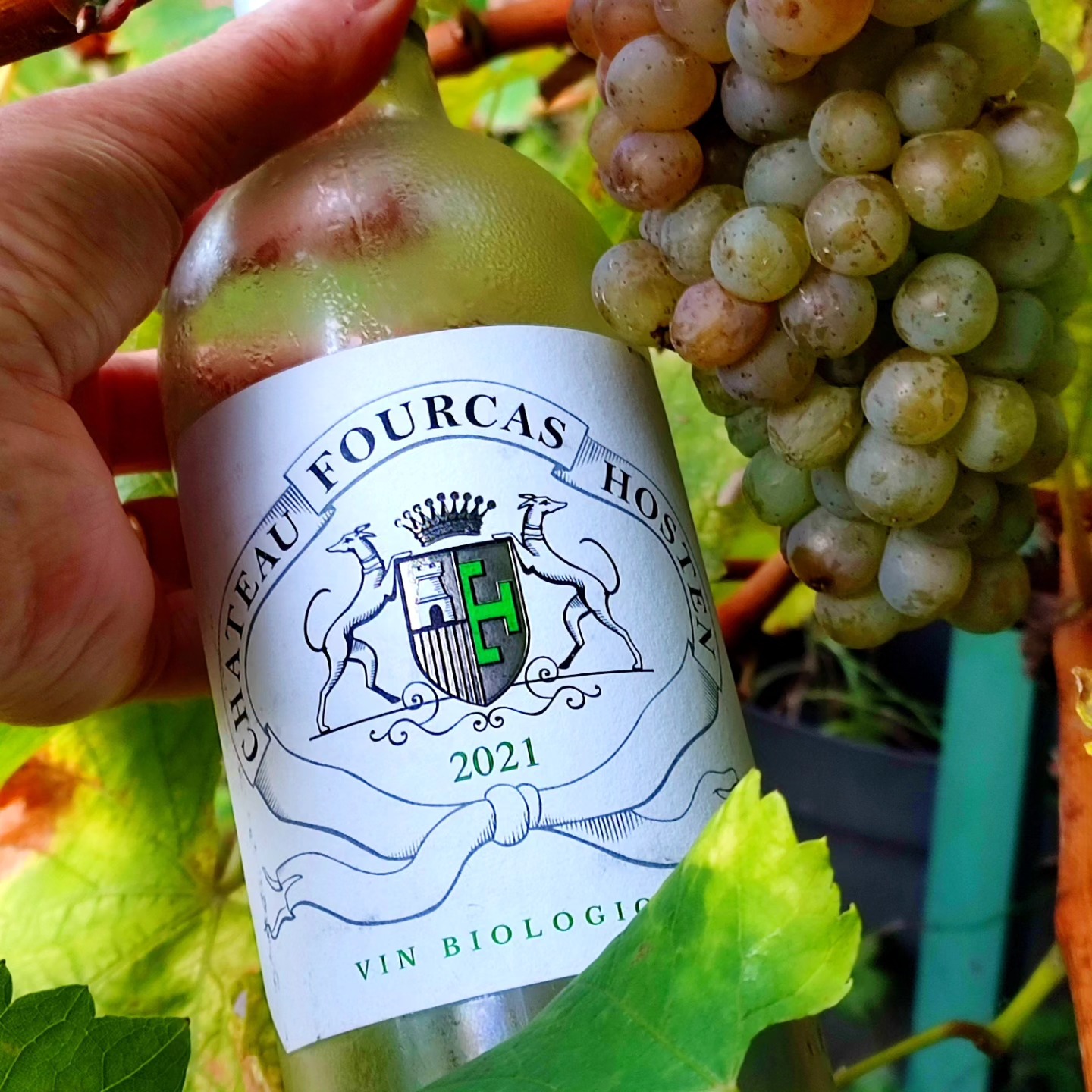 Chateau FOURCAS HOSTEIN blanc... - Le Secret Des Bouteilles | Facebook