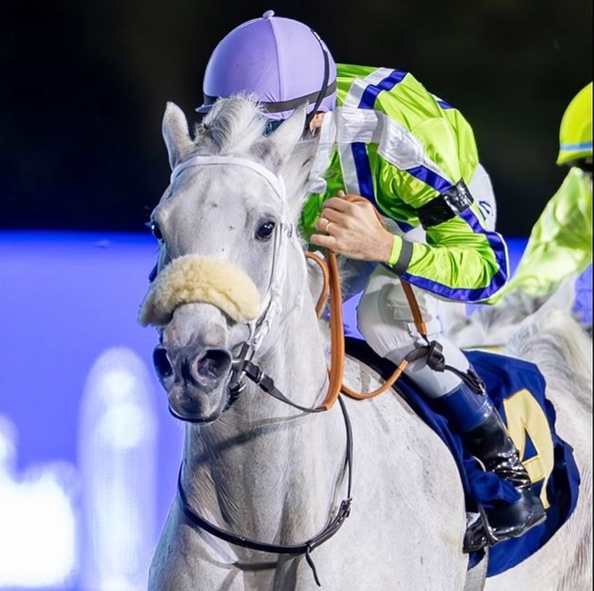 Arabian Racing Organisation | London