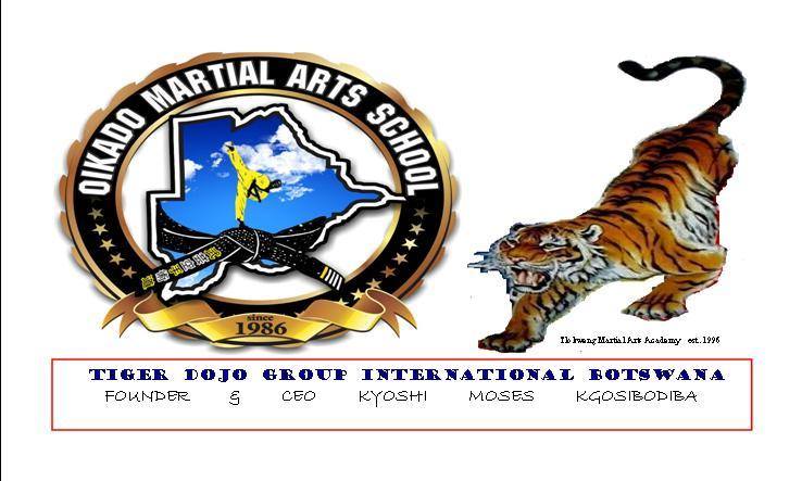 Tiger Dojo Group International Botswana Photos Facebook