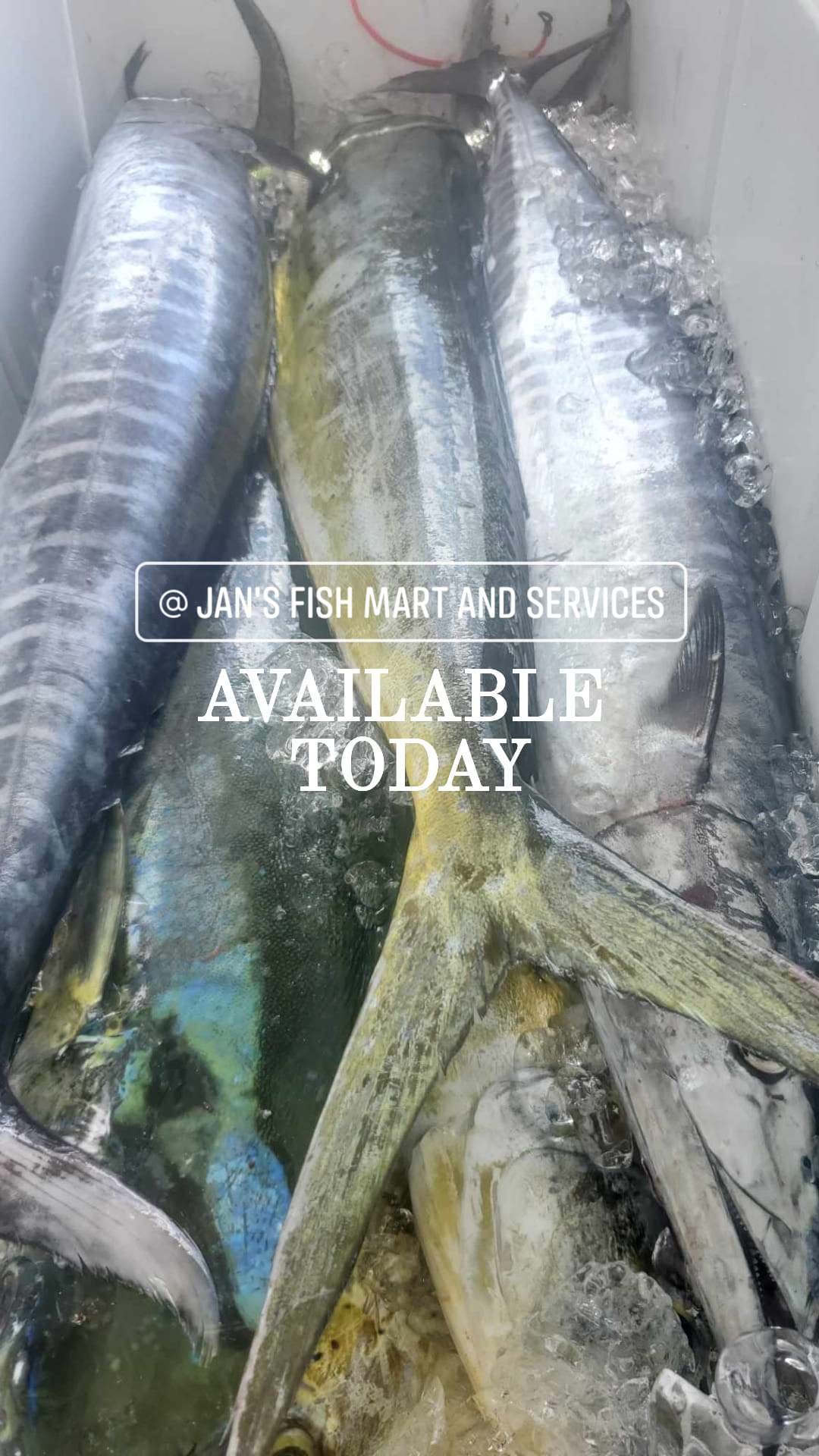 FRESH CATCH 🎣 AVAILABLE... - Jan's Fish Mart and Services