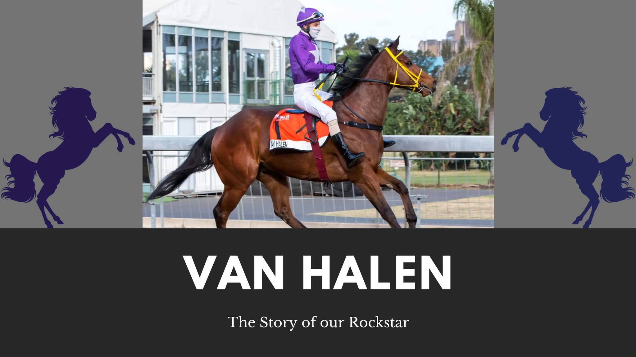 Spies Racing - The Life and Legacy of Van Halen: From Cape... | Facebook