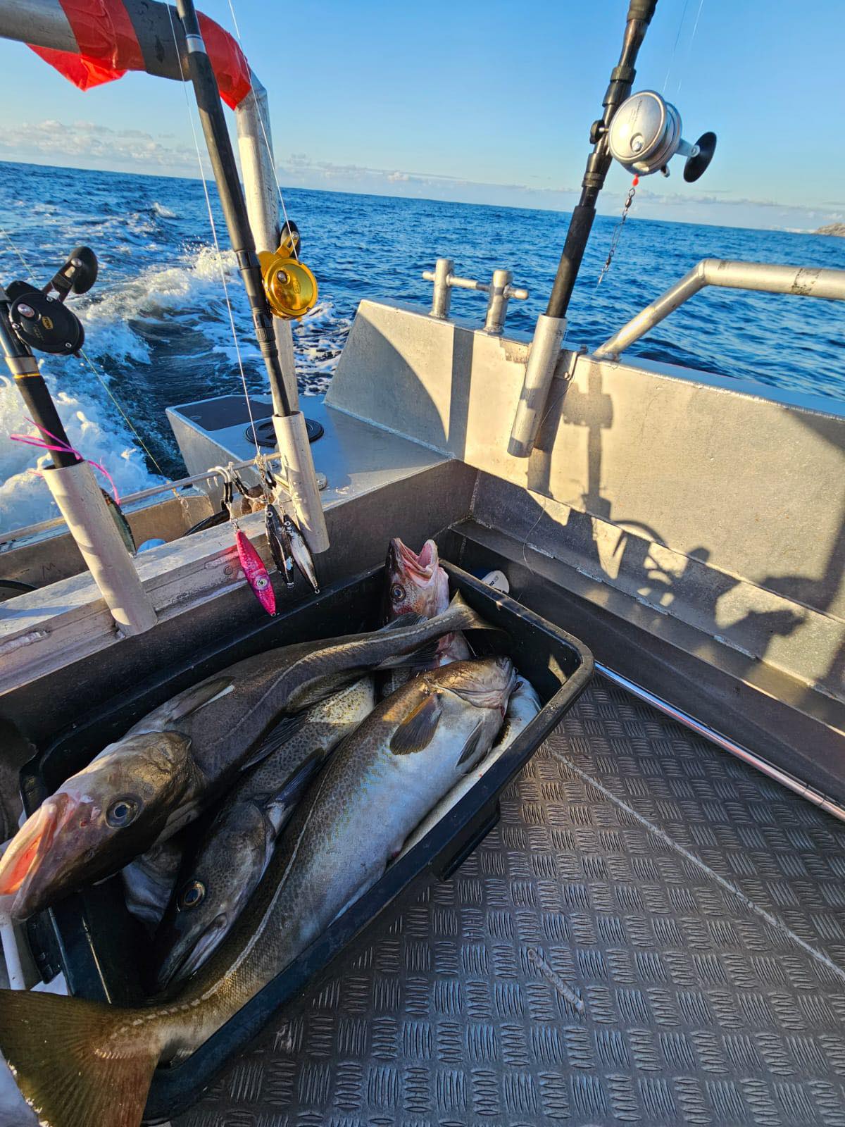 Odyssey - 🚨 Official announcement! The Odyssey Sea Fishing Crew are ...