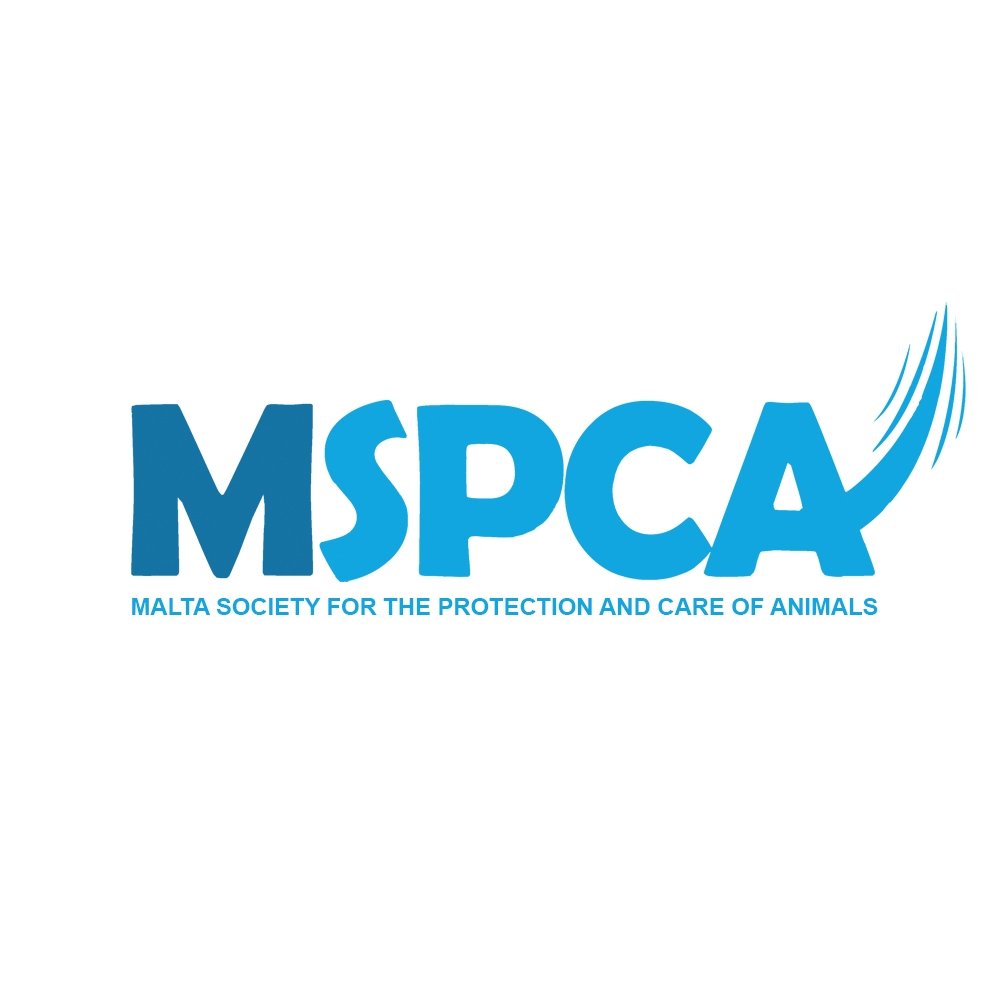 MSPCA - Make Animal Welfare Great Again! 🇺🇸🐷 Big dreams.... | Facebook